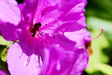 _DSC0147