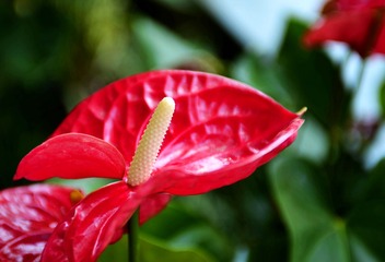 _DSC0165