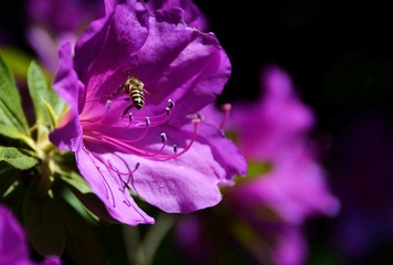 _DSC0145