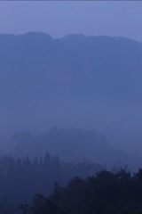 D560A0BA-FA65-421E-80D2-865916ED6D98/L0/001