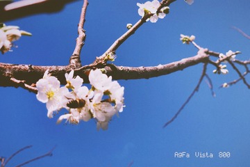 1FBAD5B1-0426-43A0-8A8A-590AF4704ED2/L0/001