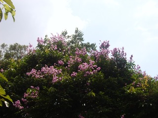 C09E340C-94F2-4C21-B8F7-19112D2E50DB/L0/001
