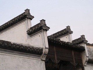 IMG_1981.jpg