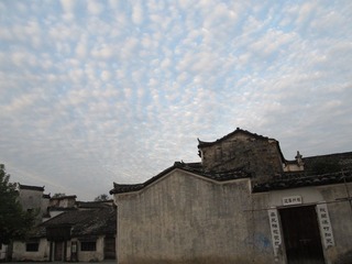 IMG_1748.jpg