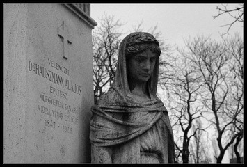 IMGP0560.jpg
