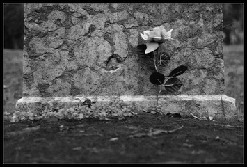 IMGP0569-2.jpg