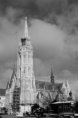 IMGP0638.jpg