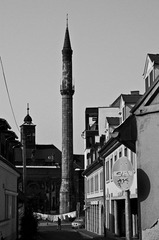 IMGP2993.jpg