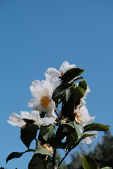 98AE04D8-563F-4E32-B889-B5F97940CB19/L0/001