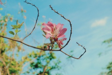 C297623D-4B4E-4634-9371-FD1A302352F3/L0/001