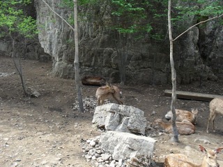 SAM_0326