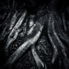 L1012843