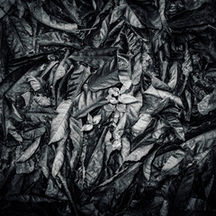 L1012866