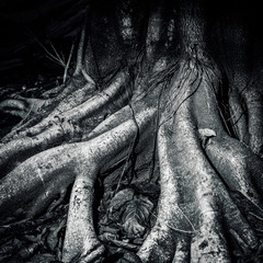 L1012845