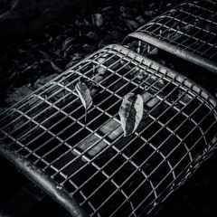 L1012860