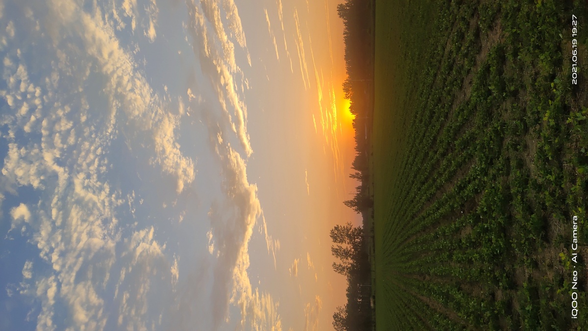 夏天来自平原的田野落日美极了