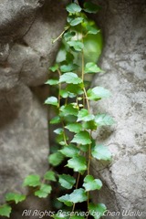小图_MG_1562.jpg