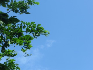 1187458