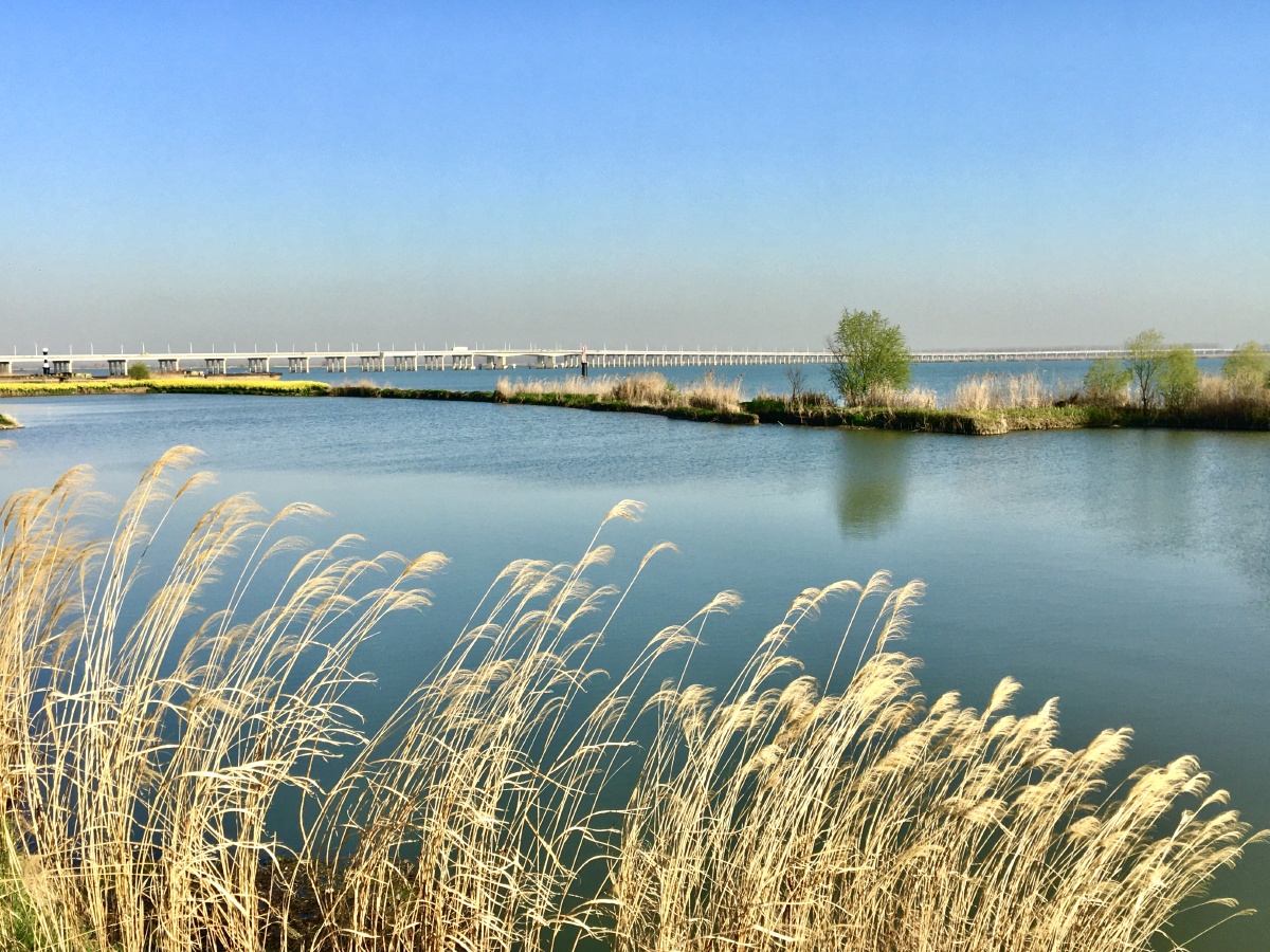 淮河入江水道特大桥