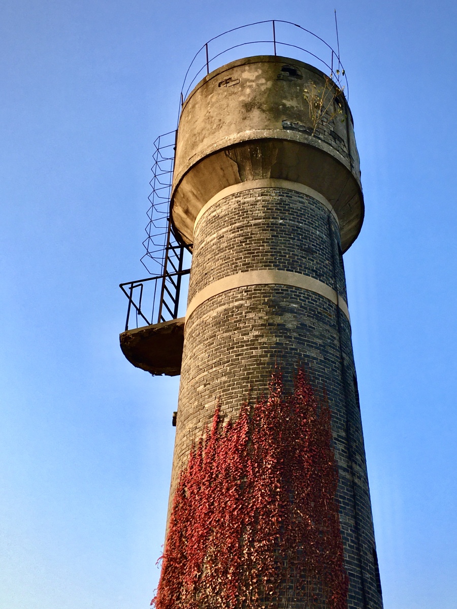 老水塔与爬山虎
