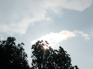 508728