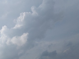 508719