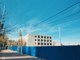 50623