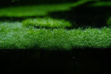 F0940BAD-FF17-42F2-8EF1-B3A2C56F5233/L0/001