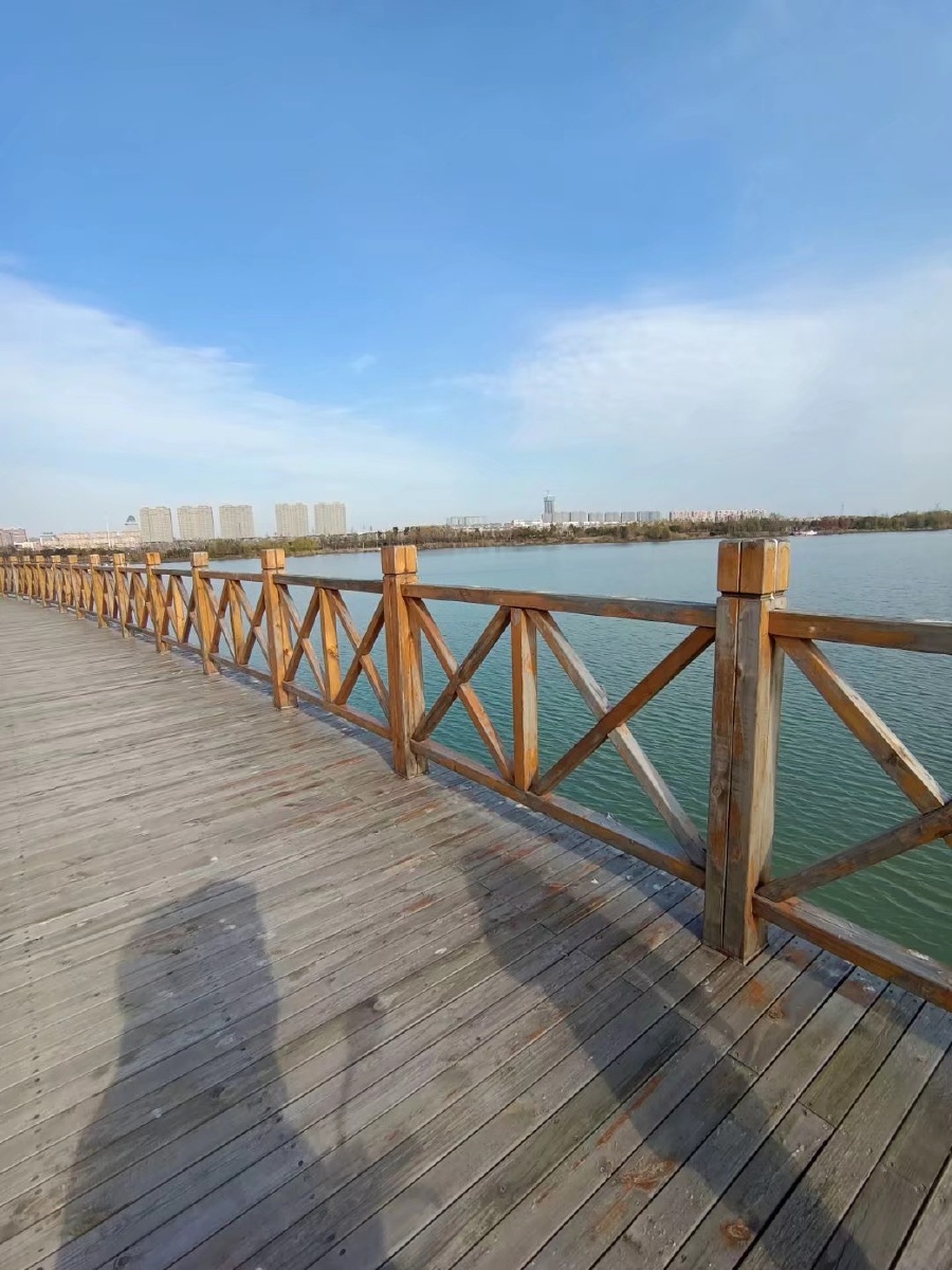 阜宁金沙湖,碧水蓝天木栈桥