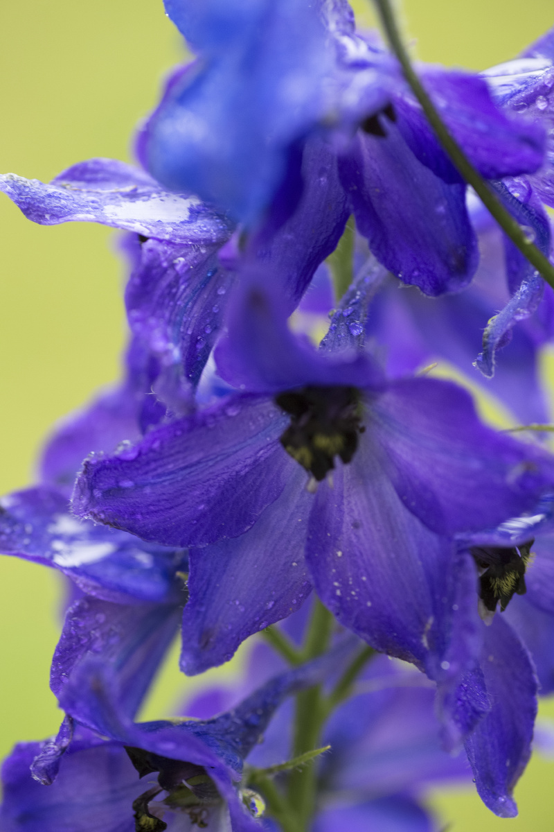 KW厂沛纳海PAM01312 复刻P.9010机芯