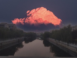 33164