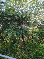 1000010766