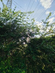 1000010765