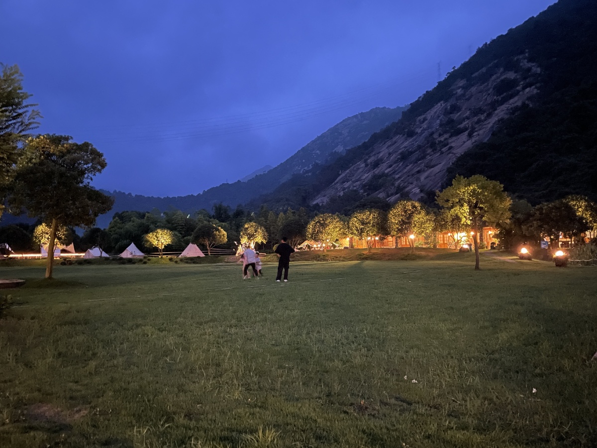 草地与夜晚 - 发福的狼