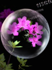 24A54BDF-3C52-4A38-A6EA-0DED267937BF/L0/001