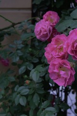 F1168DFD-B7A5-48B7-B5EC-D99FD05D86C7/L0/001