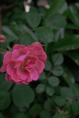 F29C8A84-2BF9-4C12-B80F-EA6AF9B53AB9/L0/001