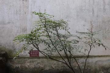 630522BF-9066-425B-A601-40DFA5169CC8/L0/001