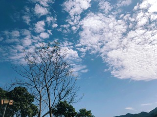 A0A04667-58F7-4C14-943B-36B676812AD1/L0/001