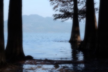 9581B885-6C2F-4F97-9712-252288B2132B/L0/001