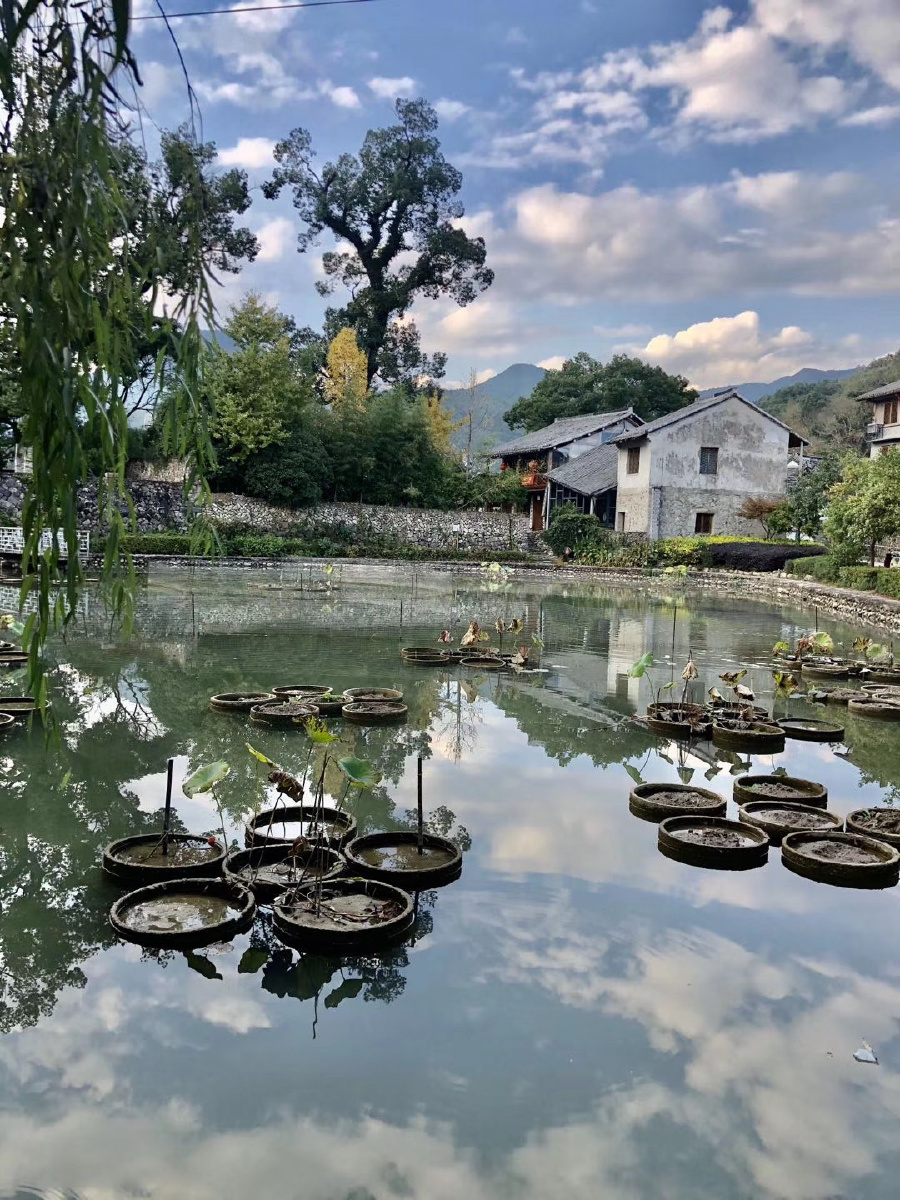 来自浙江台州的一个小山里柔川景区