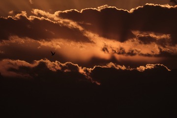 5B7763F8-2442-4D0E-AAB6-955BEB55442C/L0/001