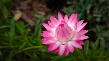201401
