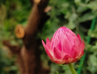 201489