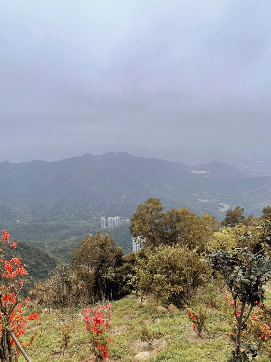 深圳夏季梧桐山山顶风光摄影