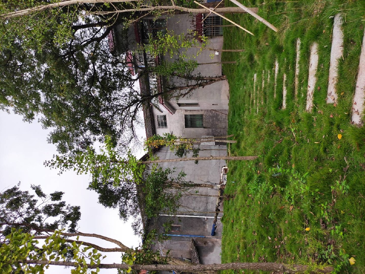 乡村老家的后花园