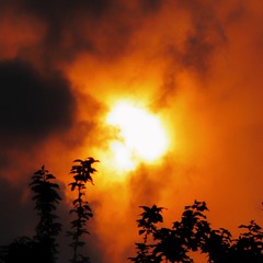CC320792-2C12-4D32-9467-CE8B5BDAB433/L0/001