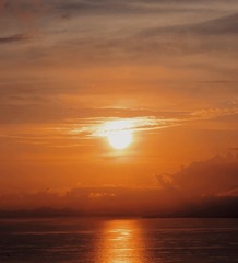 8A621528-A1C4-45A2-AEFB-D4580F0A27B6/L0/001