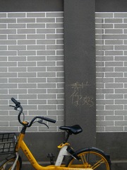 1000024816