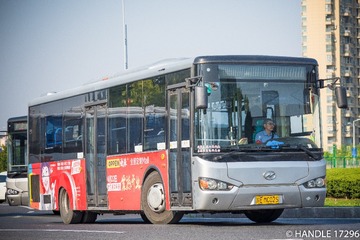 20170430-DSC_0477